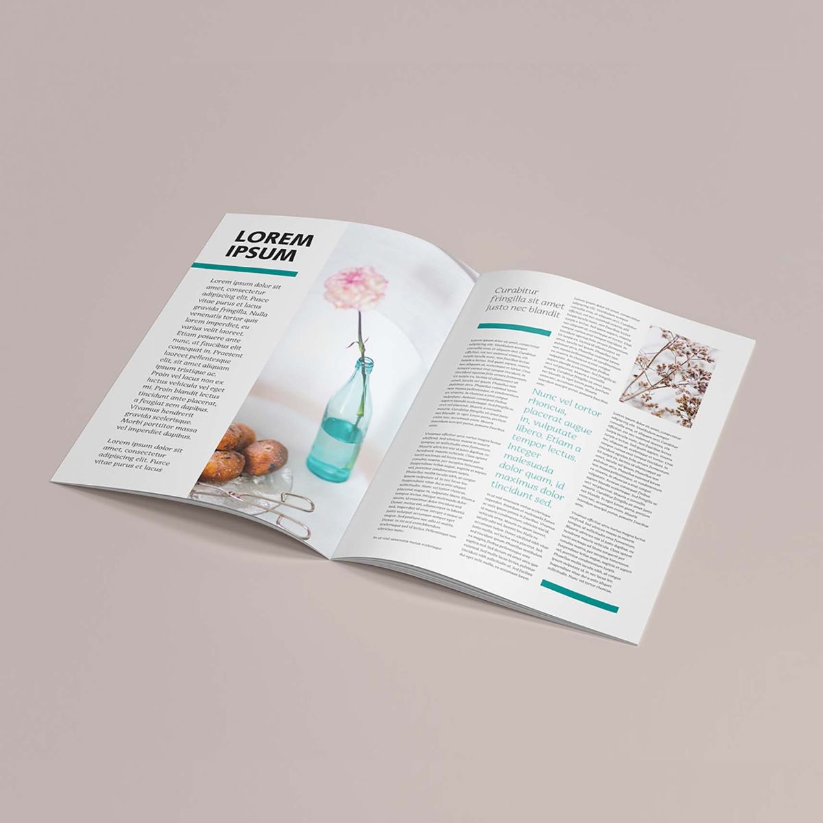 saddle stitch binding company brochure open